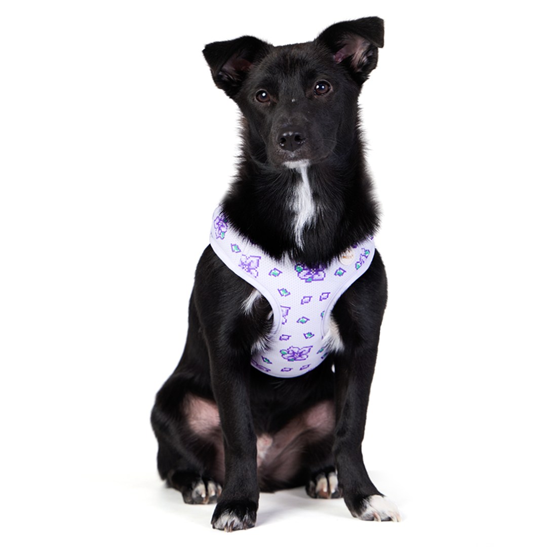 아띠지기 강아지 초경량 관절 보호 X형 에어리 하네스 16,900원