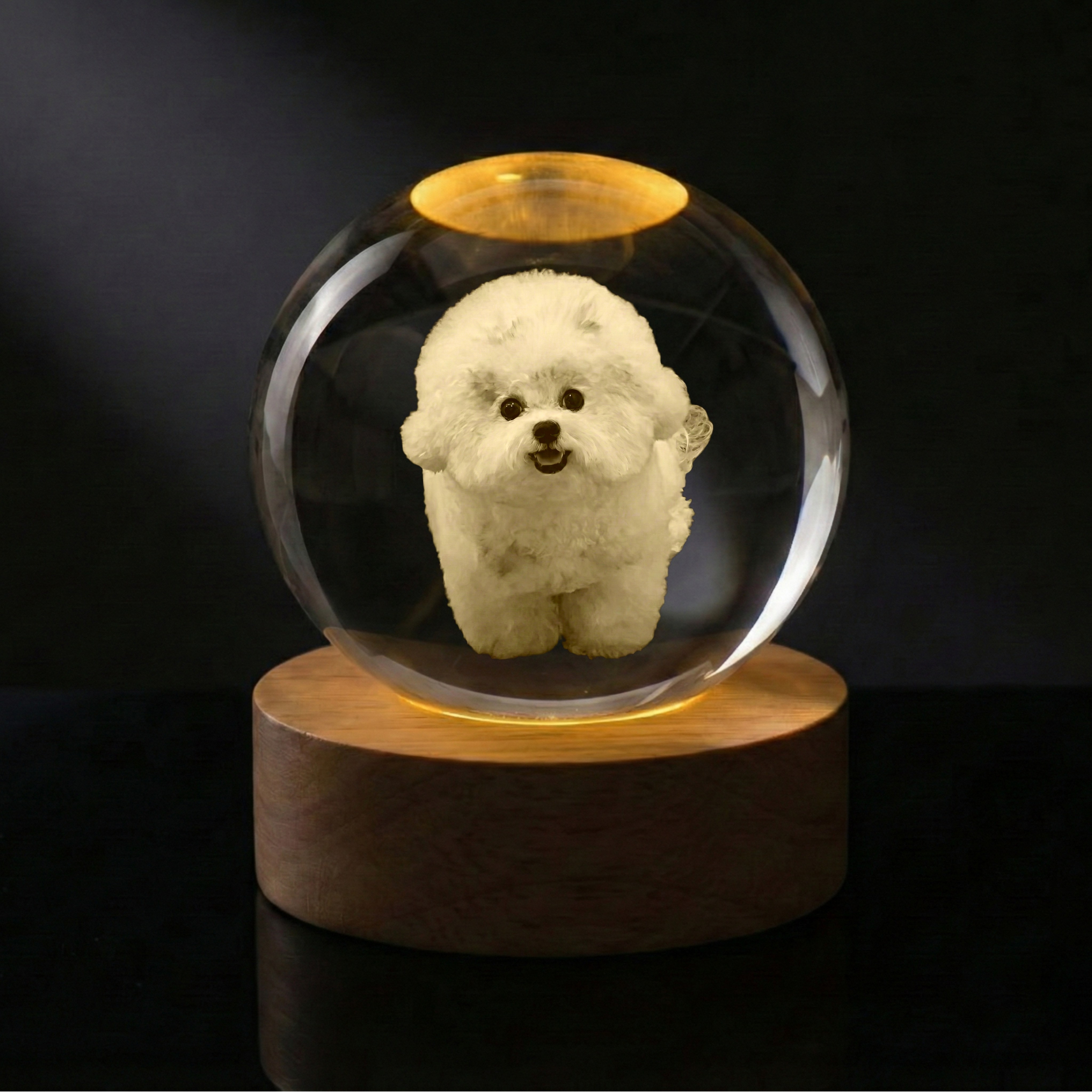 [맞춤 제작 상품] 강아지 고양이 3D각인 멍냥구슬 소담구슬, 웜 라이트 조명 53,000원