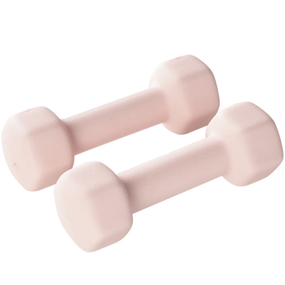 앳플리 LW 미용 아령, 2kg, 2개 19,800원