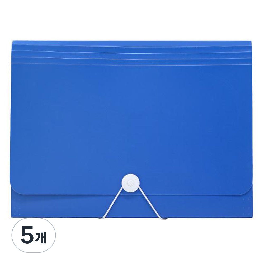코히모 아코디언 파일 13분류 클리어 인덱스 케이스 4W149, 5개, 블루 37,500원