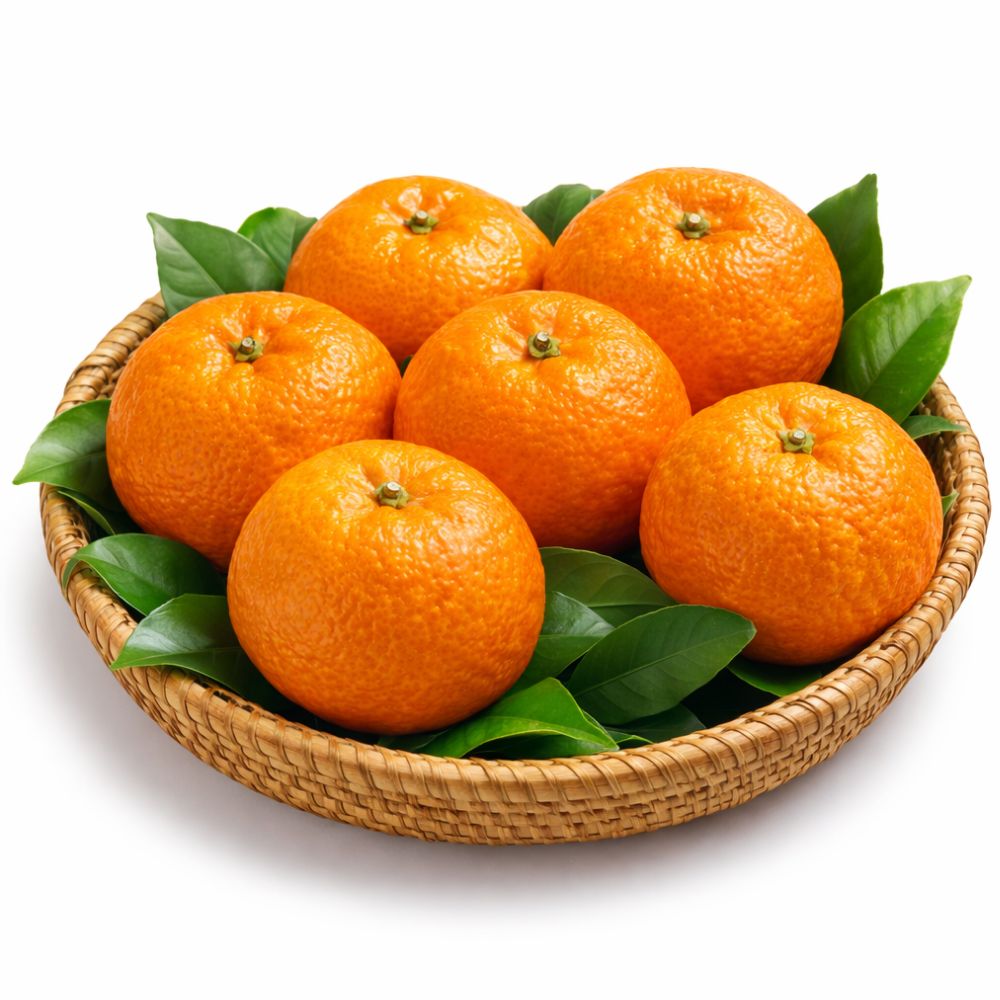 [재구매율1위] 제주 카라향 초고당도 프리미엄 귤 선별 최상품 디아머스 50,650원