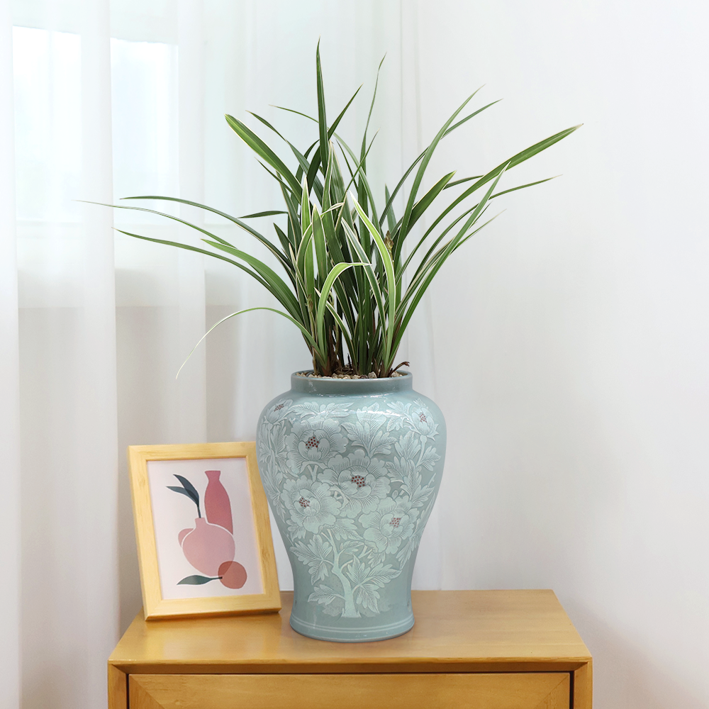 에코플라워 동양란 (이천작품 회청목단 용충호) 수도권배송 사진전송 승진 영전 인사이동 진급 취임 개업 당일배송 g-0138, 1개 380,000원