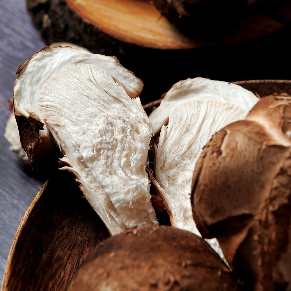 쫄깃하고 맛있는 참송이버섯 (상,못난이랜덤발송) (산지직송), 1박스, 참송이버섯 500g (랜덤발송)(산지직송) 14,800원