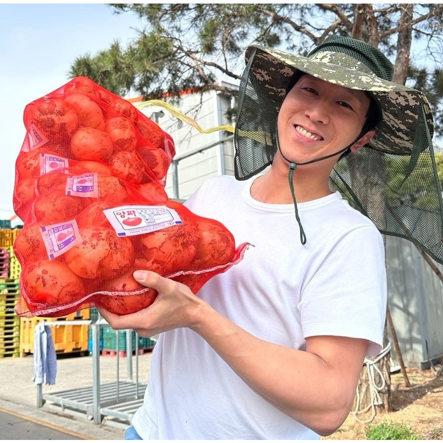 최상급 양파 햇양파 무안 [원산지: 국산], 1개, 양파 5kg (대) 13,500원