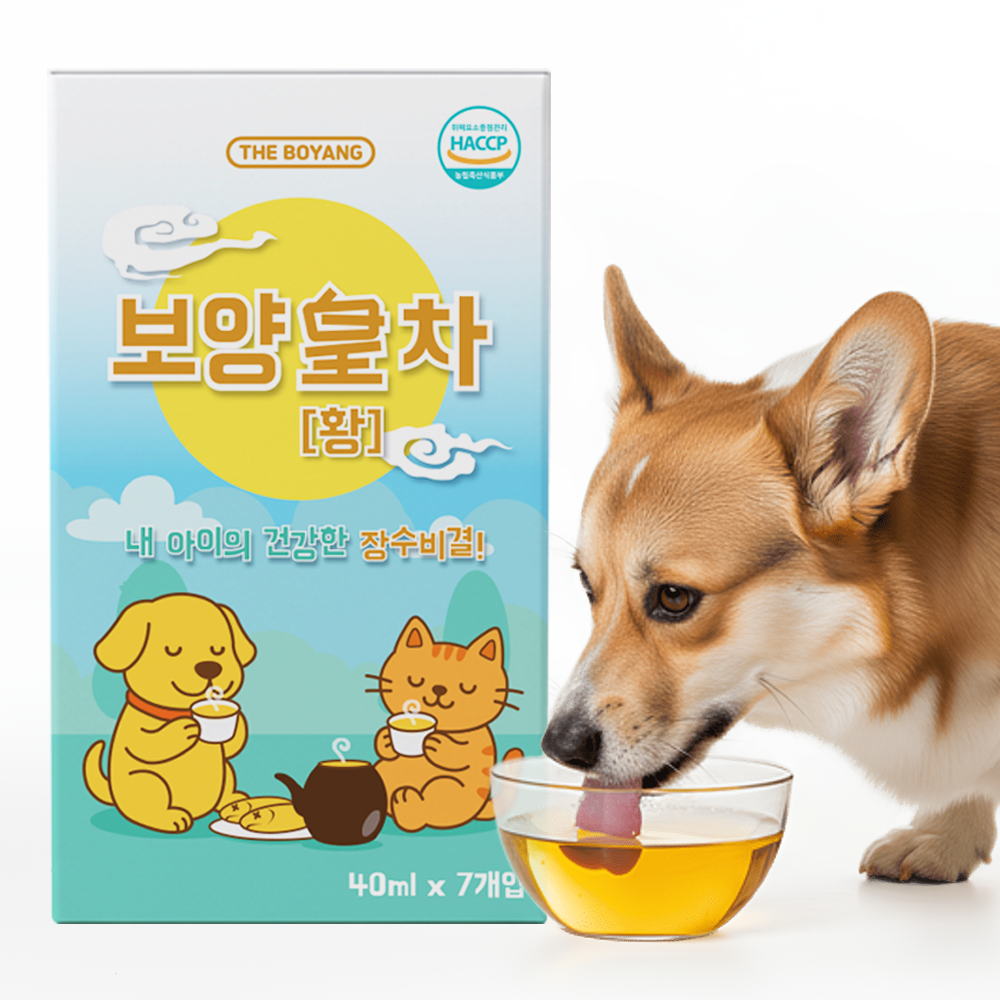 더보양 보양황차 강아지 고양이 마시는 보약 천연 영양제, 황태, 40ml, 7개 14,000원