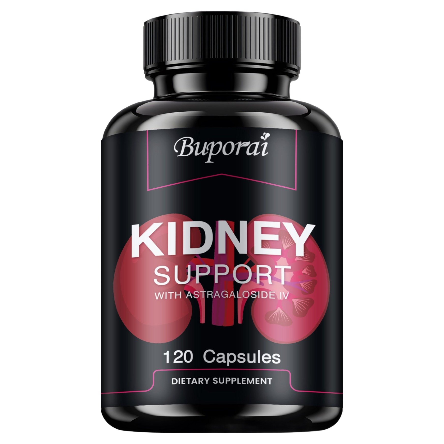 신장 지원 - 혈액순환, 건강한 신장 기능 및 담낭 정화, 1개, 60정 17,780원