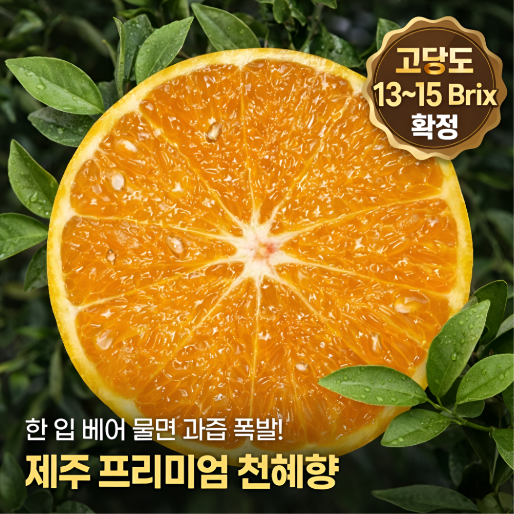 [농장직송]재구매 1위 제주도 제철 천혜향 고당도, 1박스, 10kg 가정용 중대과 82,900원