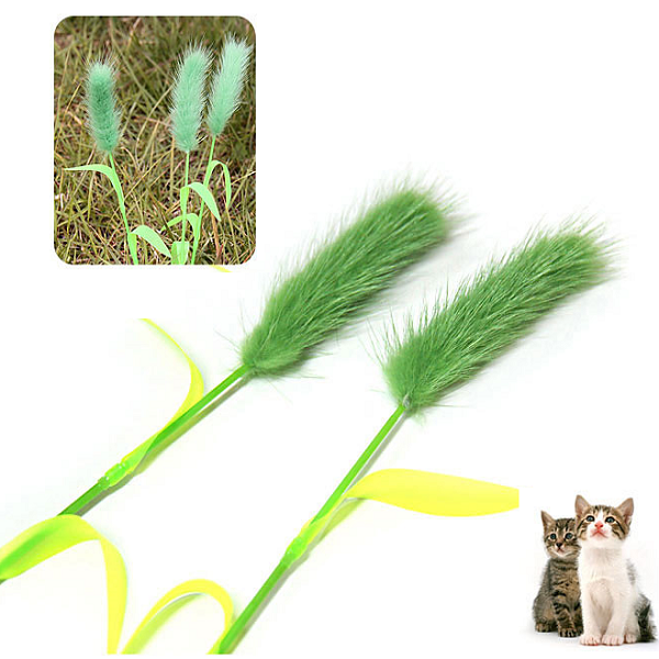 펫모닝 고양이 장난감 강아지풀 냥이 스트레스해소 및 지능개발 막대장난감, 1개, 그린 2,180원