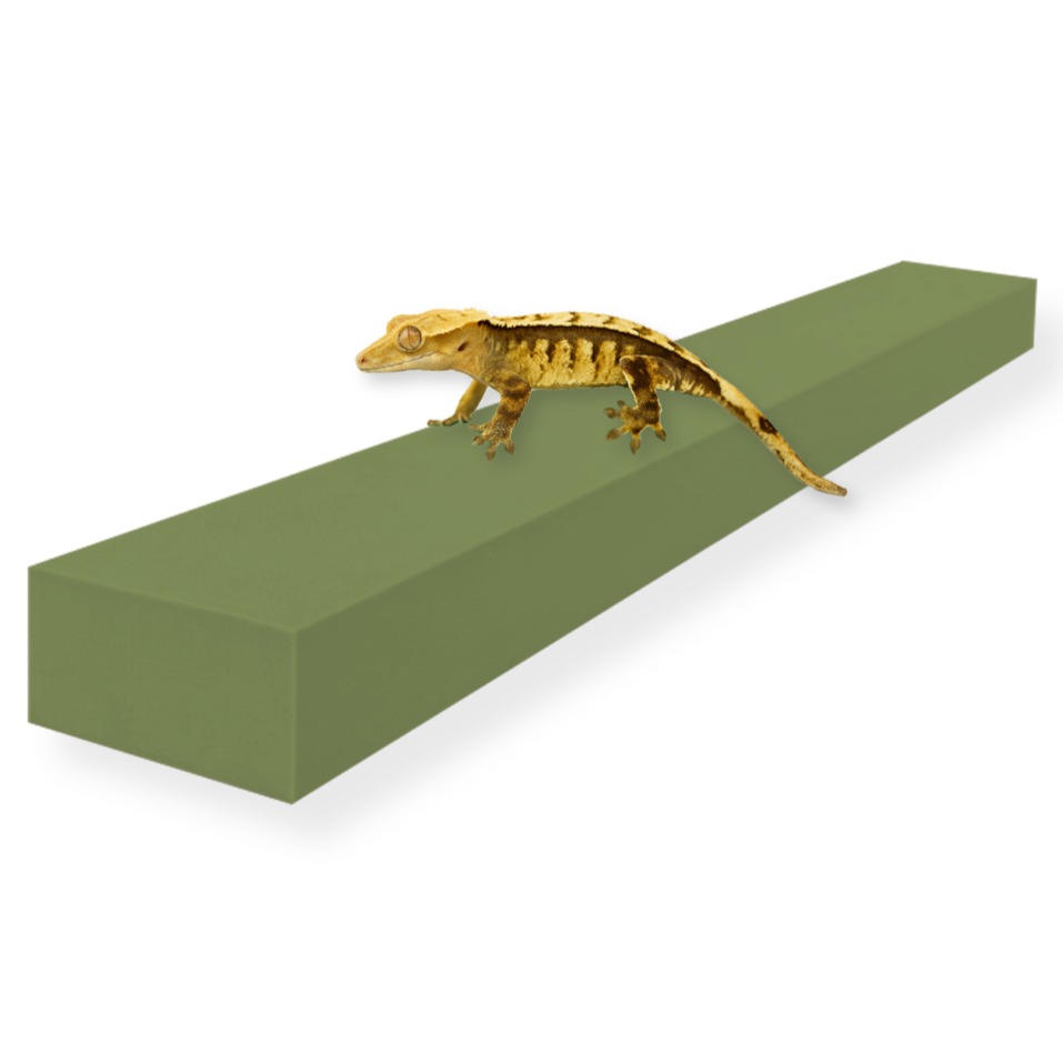 레몽크리프 도마뱀 파충류 크레스티드게코 EVA 고밀도백업 6 x 3 x 50 cm, 올리브, 1개 6,500원