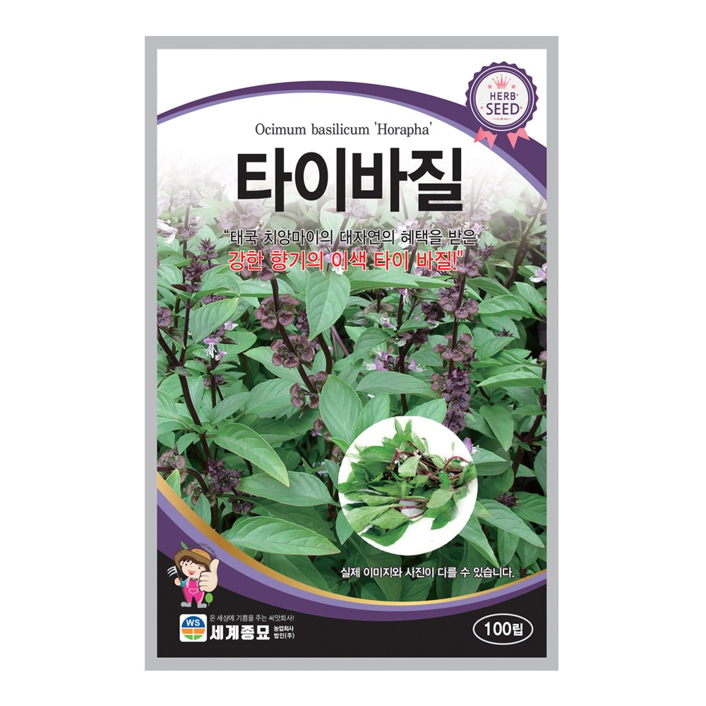모칸도 (무배) 세계종묘 허브씨앗 타이바질 100립 4,490원