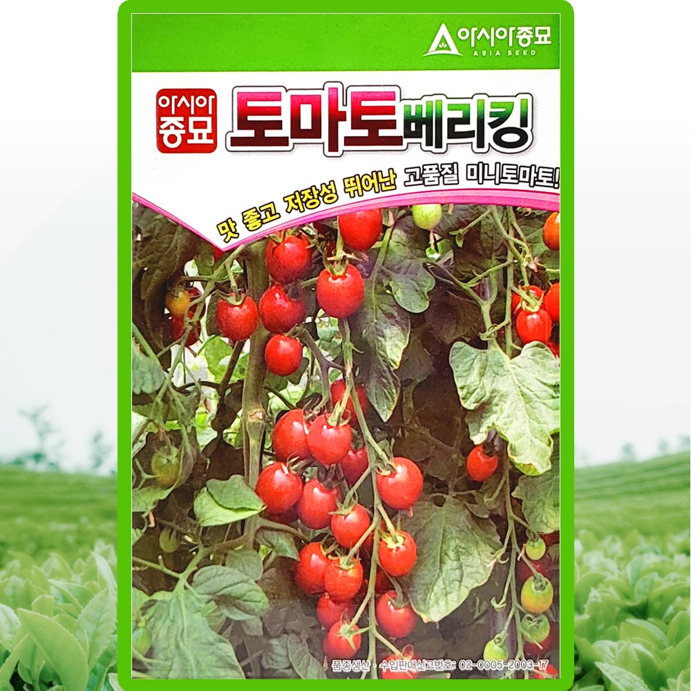 아시아종묘 씨앗 방울토마토 베리킹 50립 7,910원