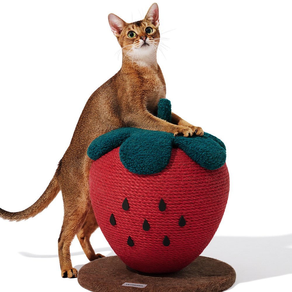 VETRESKA 스트로베리 볼 고양이스크래쳐 85,000원