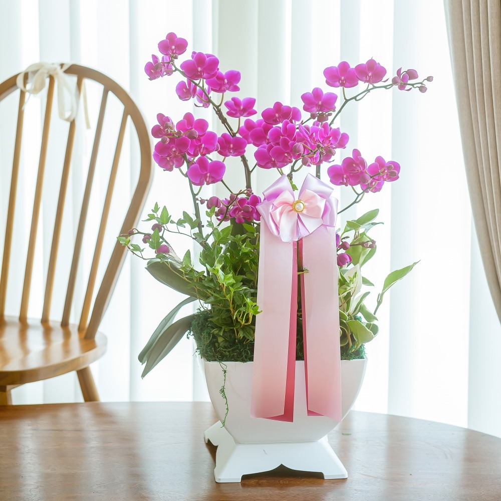 나눔플라워 전국 저가 서양란 취임 진급 승진 개업 승진란 개업란 진급란 축하 꽃배달서비스 당일꽃배달, 1개 82,000원