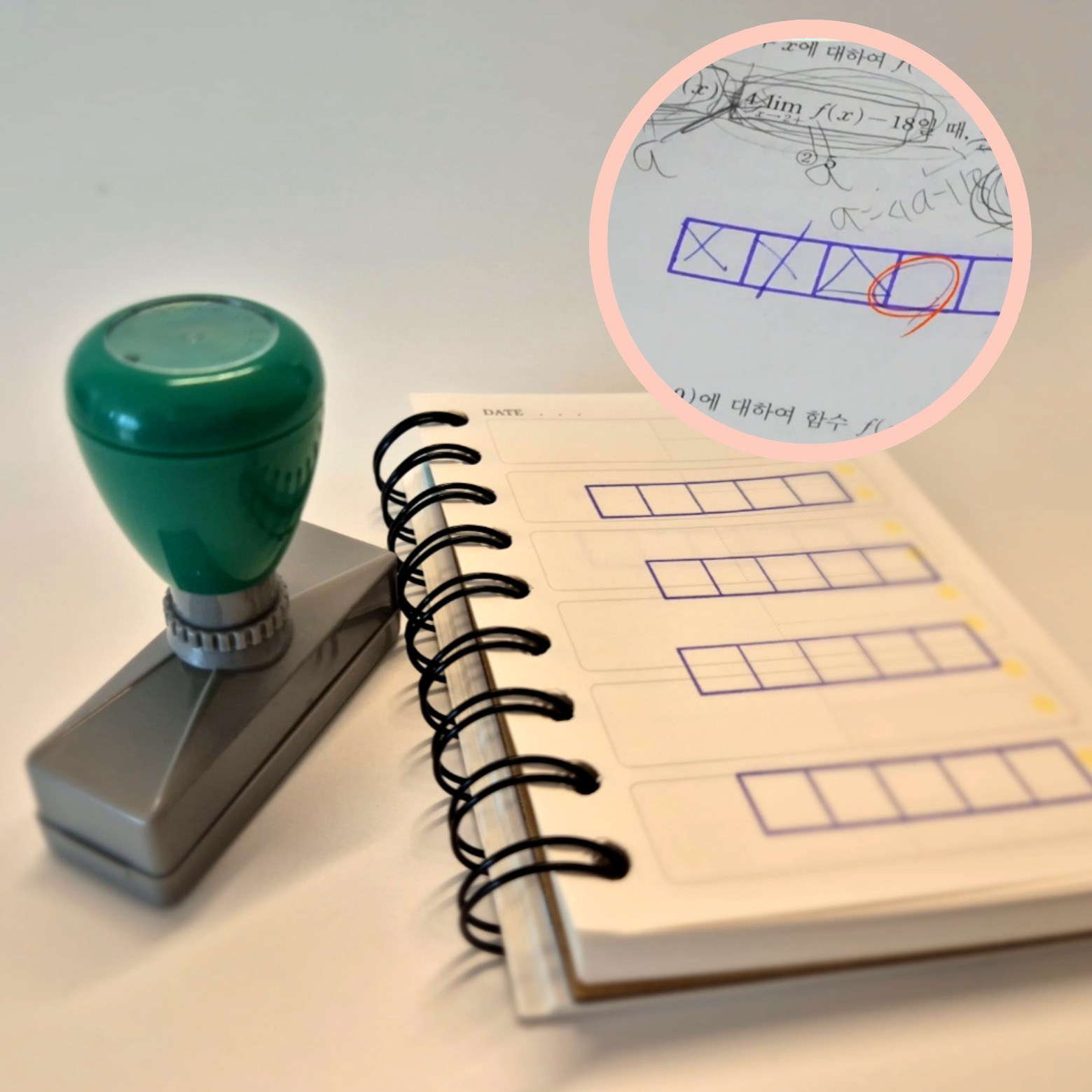 메이뮤 티쳐 5칸 스탬프 오답 체크 만년도장, 1개, 청보라 11,530원