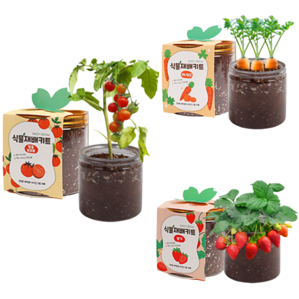 비벨르 실물재배키트 세트 미니텃밭, 방울토마토+딸기+미니당근 12,900원