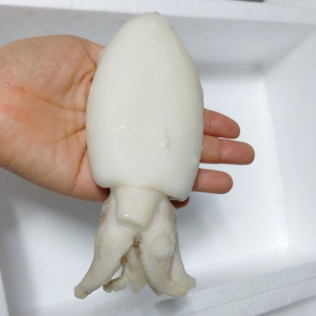 해물114  손질갑오징어(냉동) 5kg 69,000원