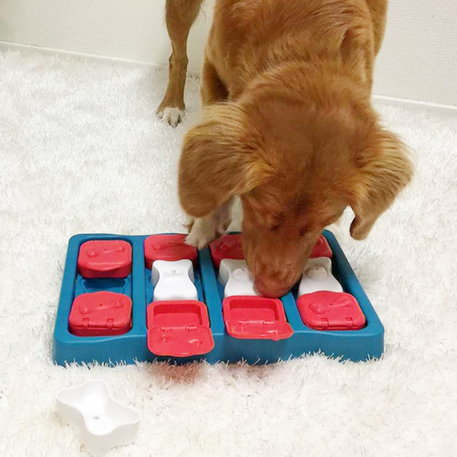 니나오토슨 도그 브릭 노즈워크 장난감 22,000원