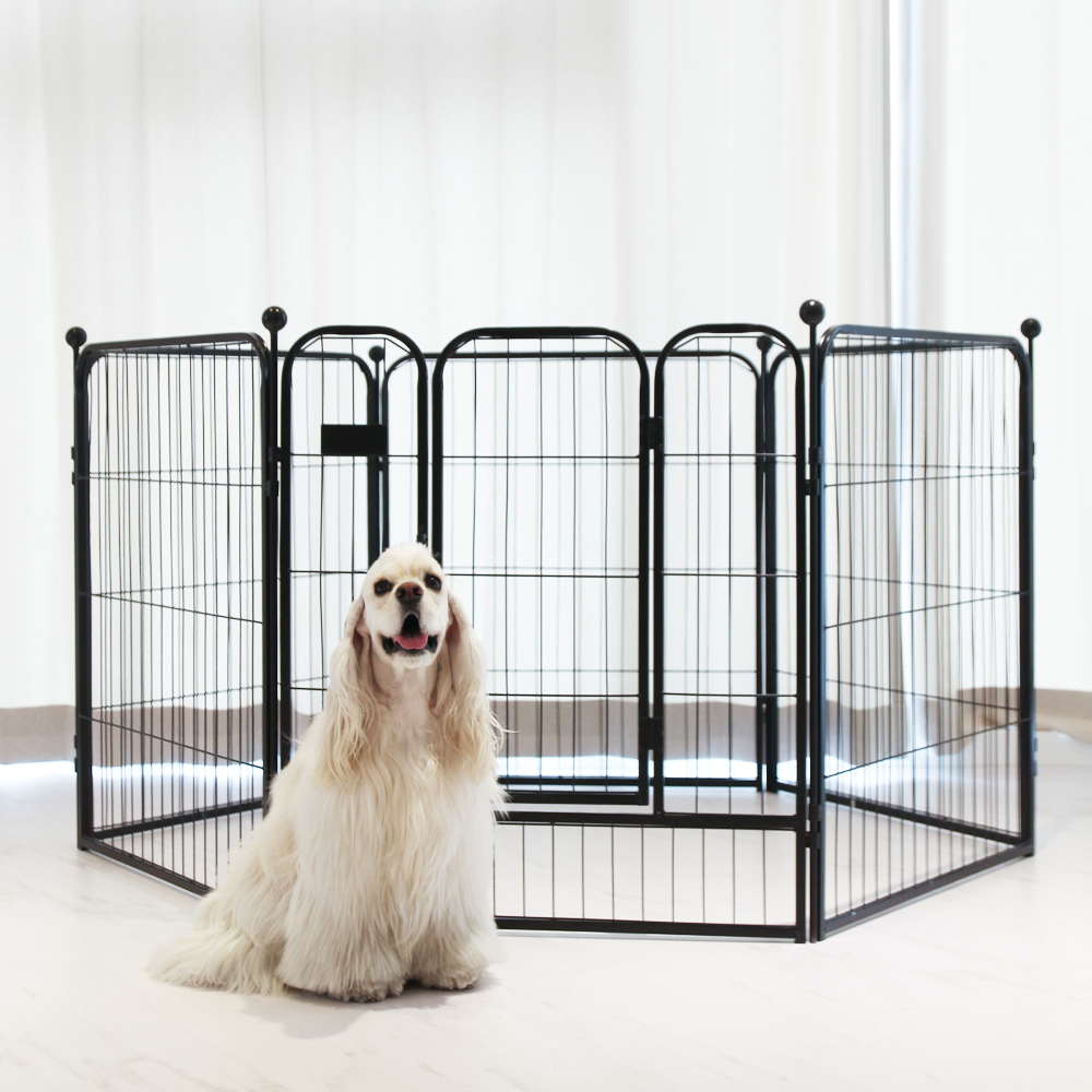 펫초이스 대형견 울타리 펜스, 블랙, 1개 143,900원
