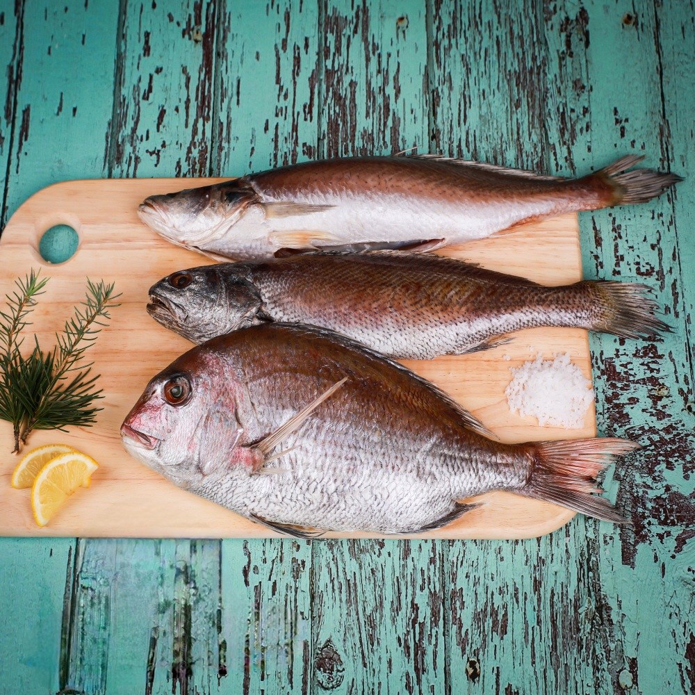 제수용 손질되어 편한 생선세트 생선모듬 반건조 제사 말린 국산 여수 참돔 민어 뾰족민어조기, 1세트 59,000원
