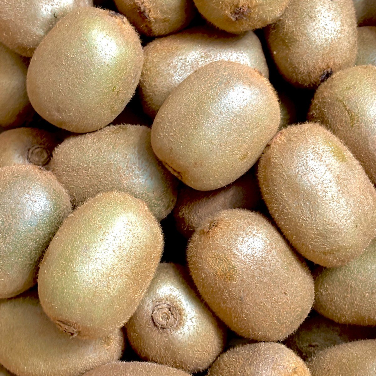 <가람> 제주산 신선한 그린키위/새콤달콤 참다래/프리미엄 20,810원