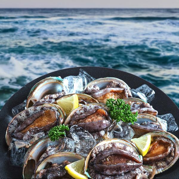 가람 완도산 활전복(중대)1kg(10~12미내외) 23,500원