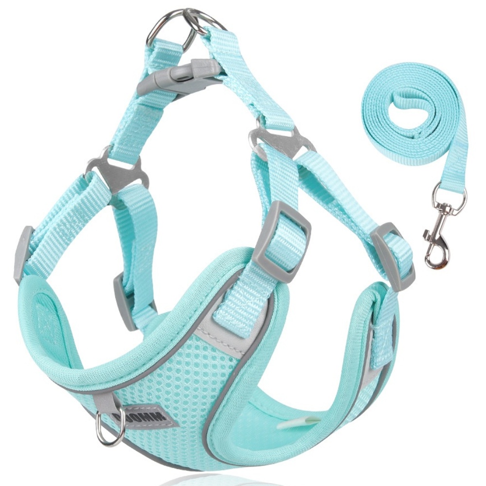디아쿠아 야광 빛반사 메쉬 강아지 하네스 리드줄 세트, 민트 8,900원
