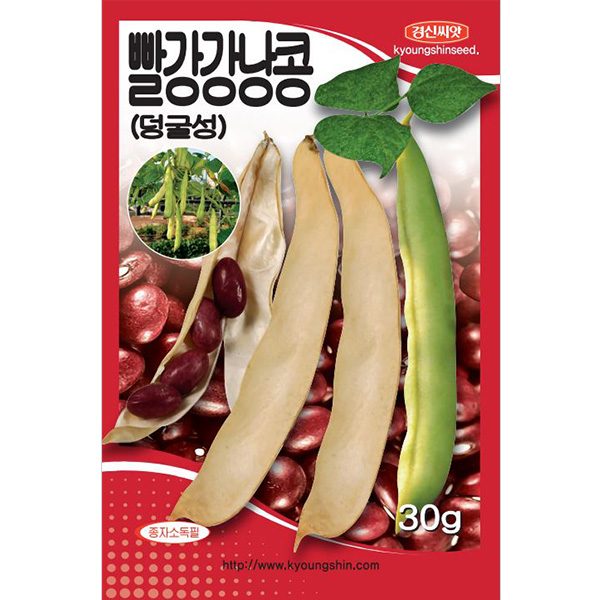 세인화분 덩굴성 빨강 강낭콩 30g - 씨 씨앗 콩씨앗 콩씨 5,900원