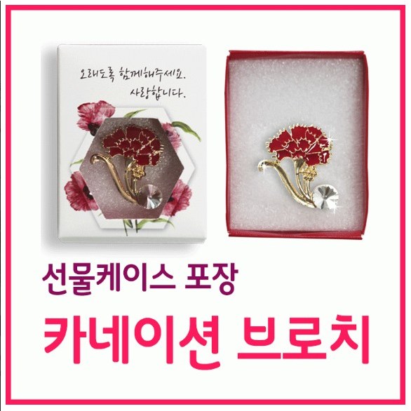 카네이션브로치 어버이날 스승의날 목걸이 브로치 16,850원