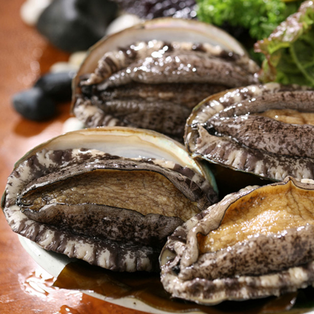 [산지직송] 신선한 완도 활 전복 500g, 1kg 생전복 완도전복 19,900원