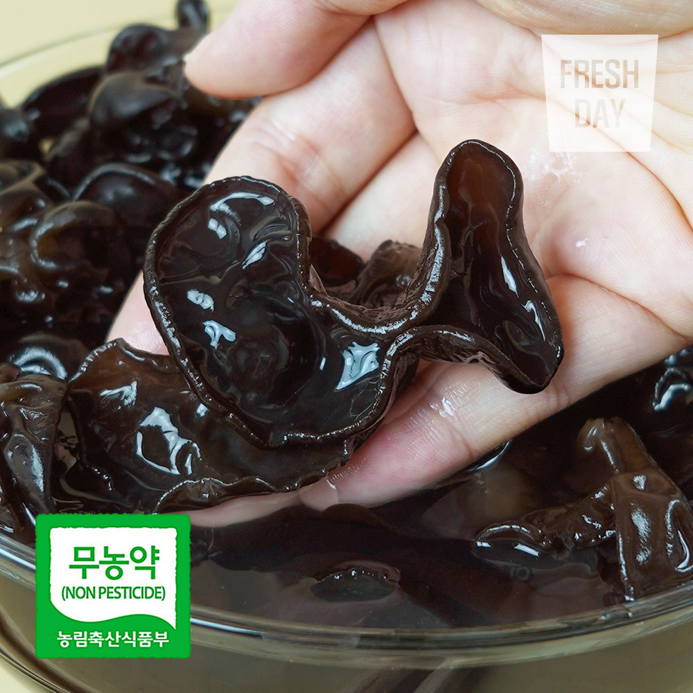 [프레시데이] 국내산 무농약 프리미엄 생 목이버섯 정품, 1개 25,900원