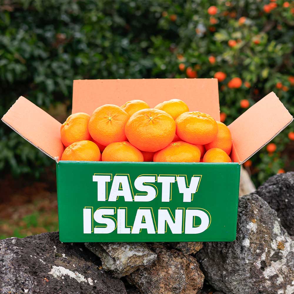 [품질보장] 제주 고당도 레드향, 1박스, 10kg 중소과 82,900원