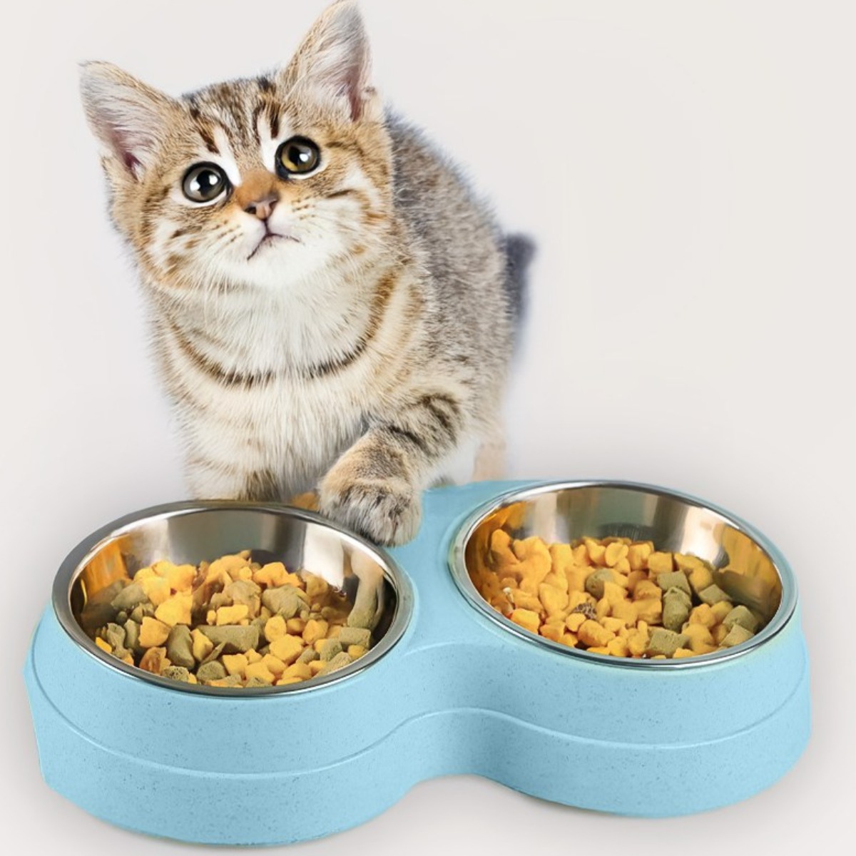 강아지 밥그릇 물그릇 2구 식기 반려동물 고양이 밥그릇 용품 애견 그릇 세트, 1개, 블루 9,800원