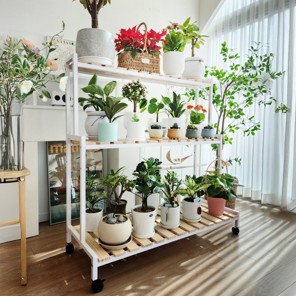 해피조슈아 화분랙 화분받침대 화분선반 화분진열대 92,500원