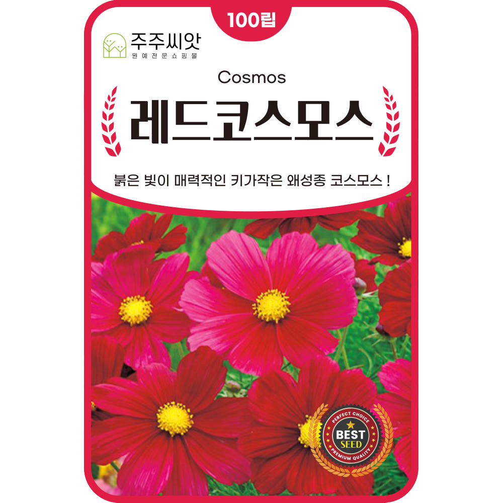 [주주씨앗] 키작은 코스모스 씨앗 100립 / 붉은색 왜성 야생화 꽃씨 씨앗몰, 1개 2,000원