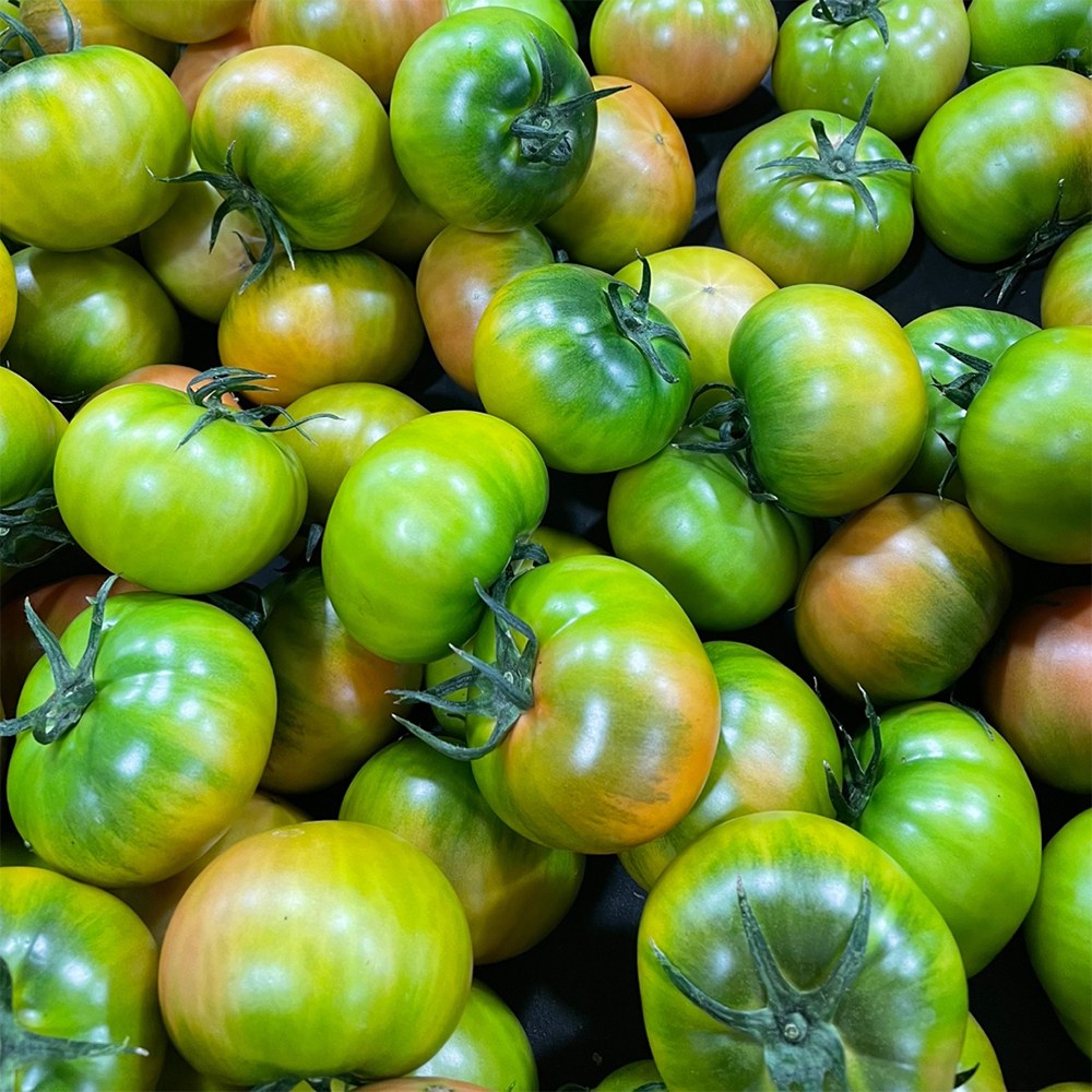 대저토마토 특품 2.5kg 당일수확 산지직송 제철 과일, 1박스, 대저토마토 특품(S-3S)과 2.5kg 31,800원