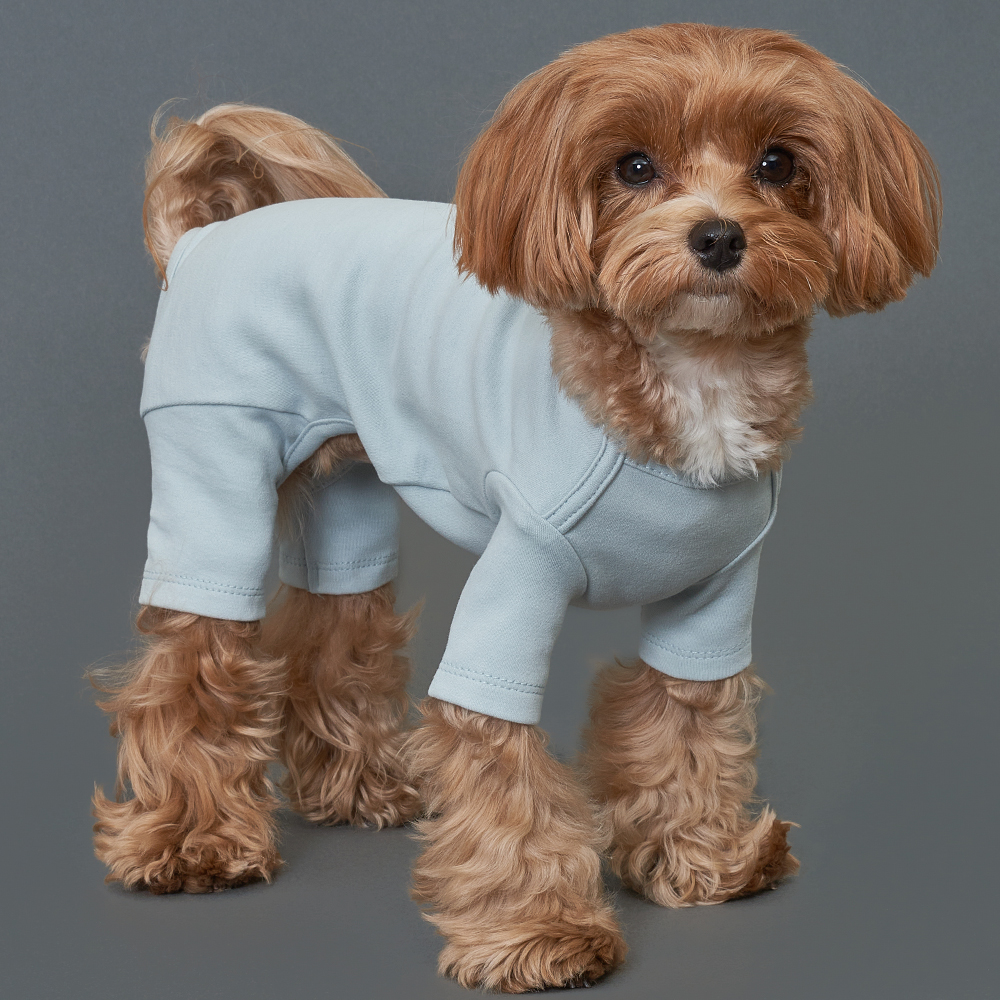 강아지옷 애견의류 도그아이 50수 올인원 7,900원