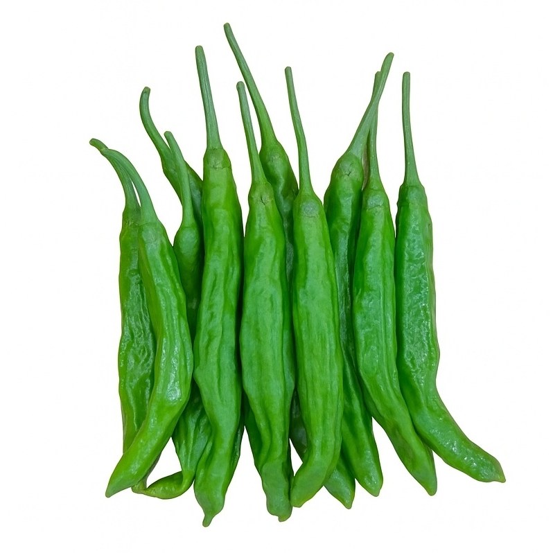 맛통령 국내산 꽈리고추 10,960원