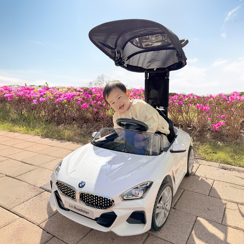 대호토이즈 BMW Z4 푸쉬카 플러스 188,000원