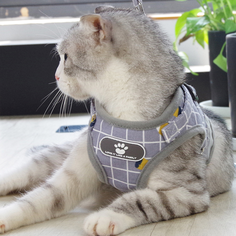 퍼플펫 고양이 체크 하네스 9,500원