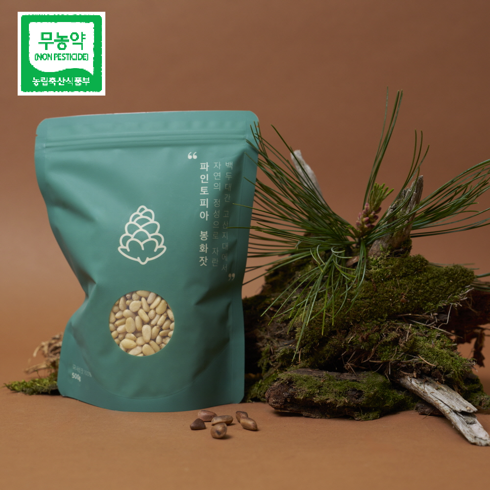 [파인토피아]무농약 국산 25년 햇잣, 경북봉화 산지직송 1등급 잣 , 1봉 500g 76,900원