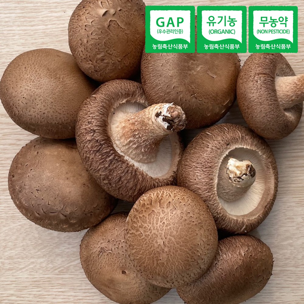 국내산 유기농 표고버섯 2kg 동고 상 GAP 인증 농장직송, 1개, 2kg 30,100원