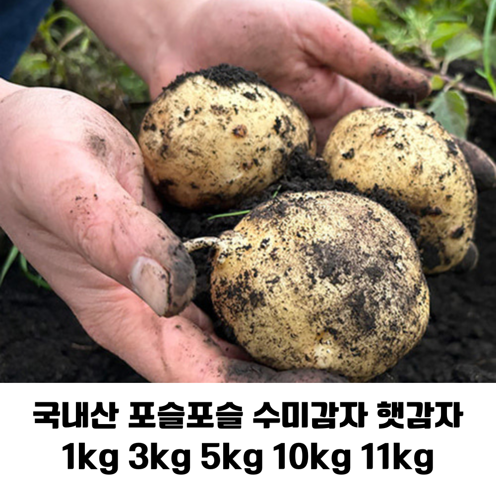 100% 국내산 제주 전북 경남 강원도에서 수확한 포슬포슬한 수미감자 햇감자 18,900원