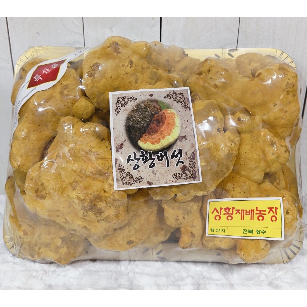 국산 참나무 상황버섯 1kg 선물세트 당일발송 255,000원