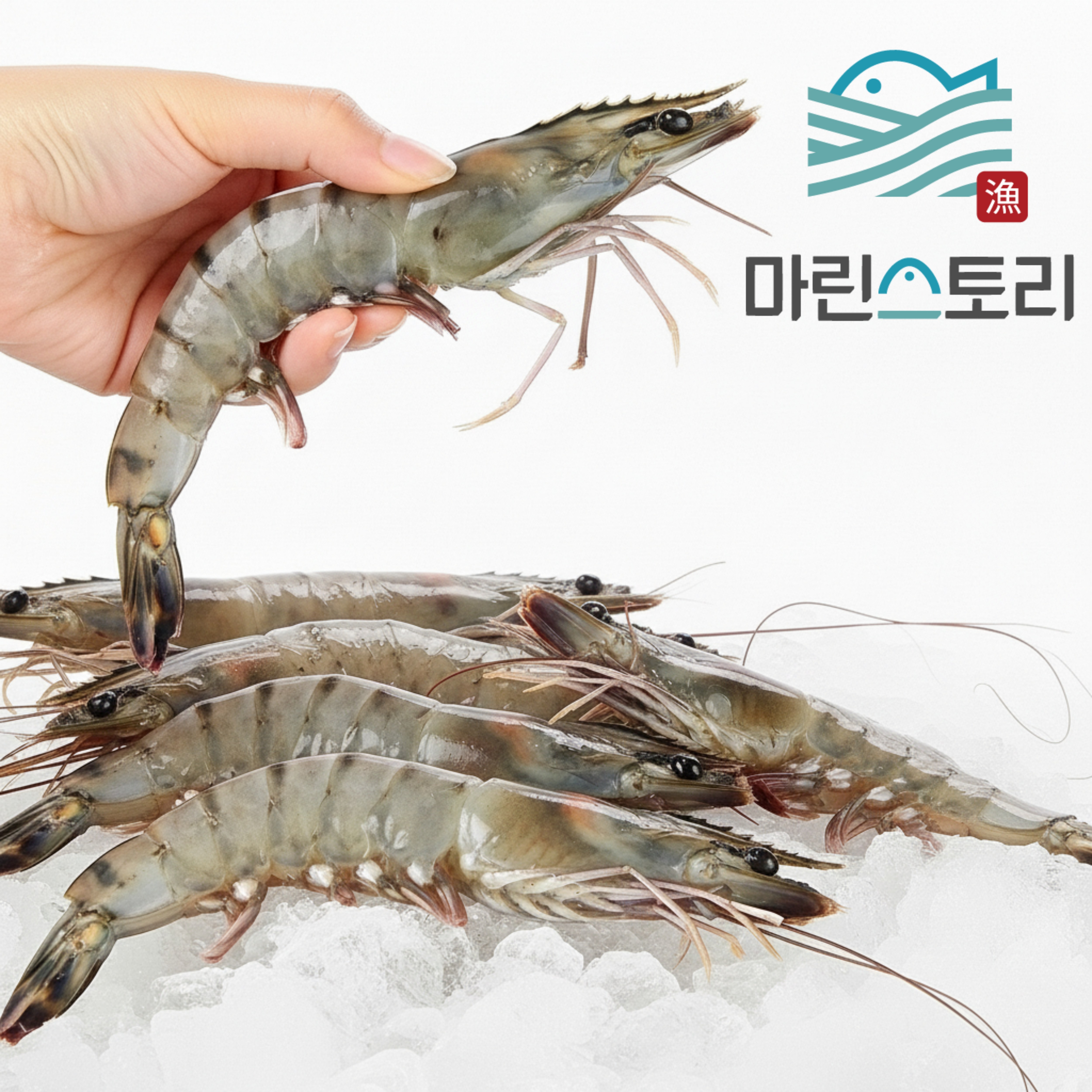 블랙타이거 얼룩 새우 말레이시아 블랙 타이거 107,000원