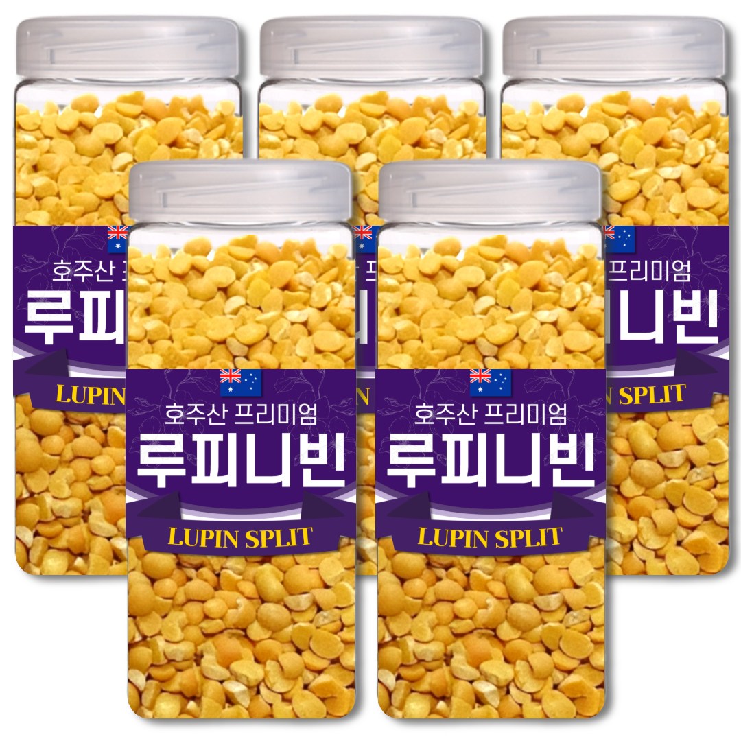 통에담은 최상급 루피니빈 콩 호주산 루핀콩, 5개, 1kg 45,880원