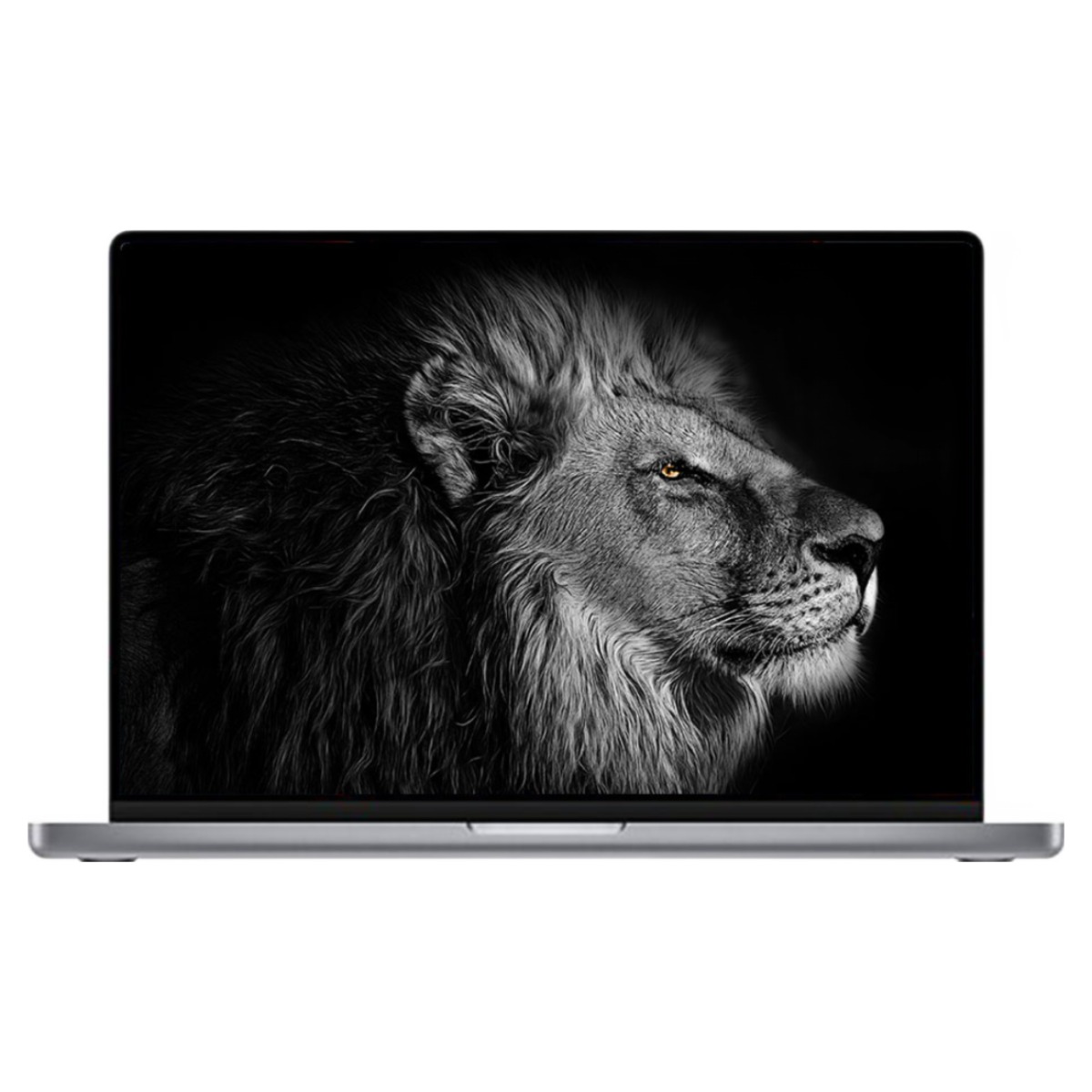 중고 애플 맥북프로 2021 14인치 M1 PRO A2442 16GB 512GB 스페이스 그레이 B급 특가 상품, 애플 맥북프로 A2442, MAC OS, 16GB, 512GB, 스페이스 그레이 1,190,000원