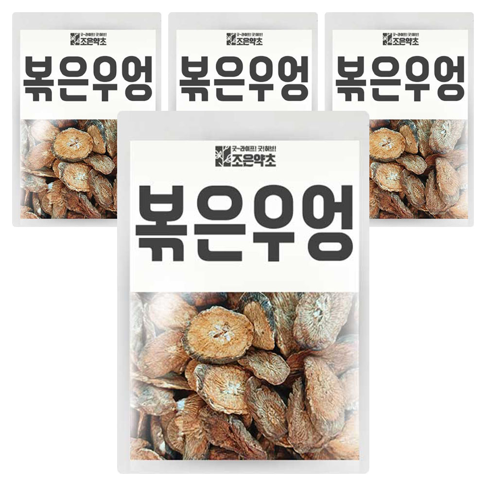 조은약초 볶은 우엉, 500g, 1개입, 4개 36,080원