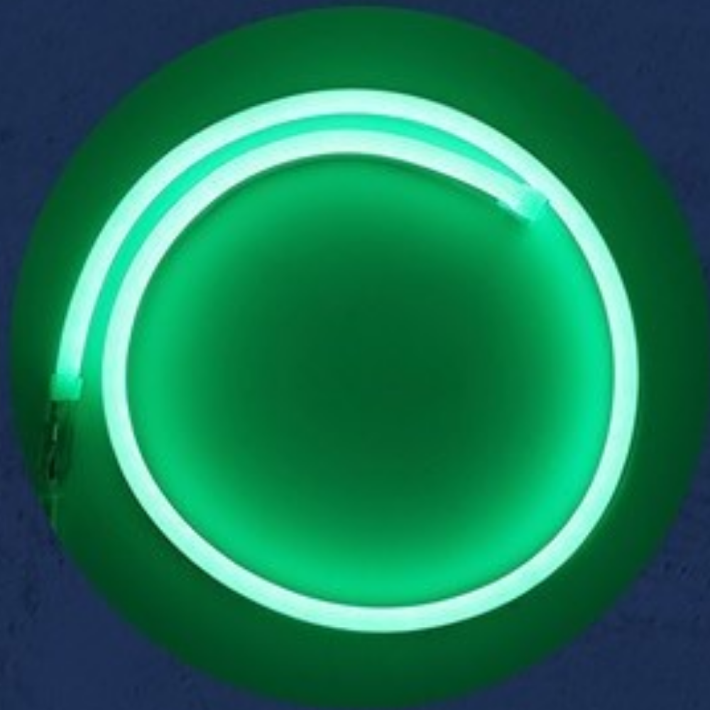 올판 AC220V LED 네온 플렉스 40m 간접조명 줄조명 줄네온 논네온, 1개, 녹색 40m 158,500원