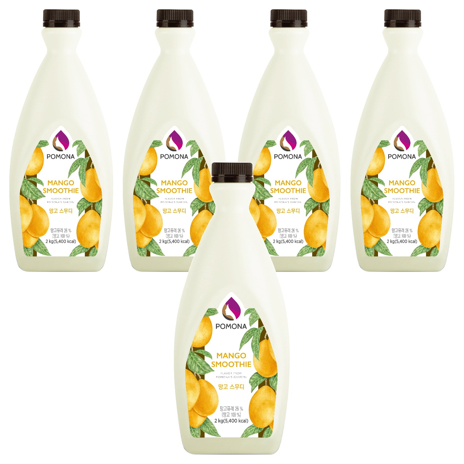 포모나 망고 스무디 시럽 43,500원