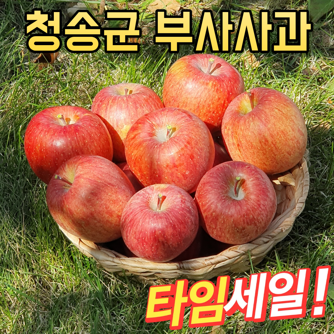 농장직송 사과의여왕 청송사과 꿀부사, 1박스, 중과 10kg 70,900원